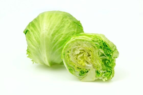 Fresh Iceberg-lettuce